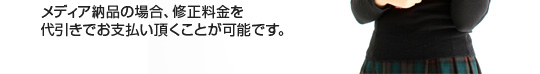 メディア納品の場合、修正料金を代引きでお支払い頂くことが可能です。