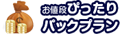 お値段ぴったりパックプラン